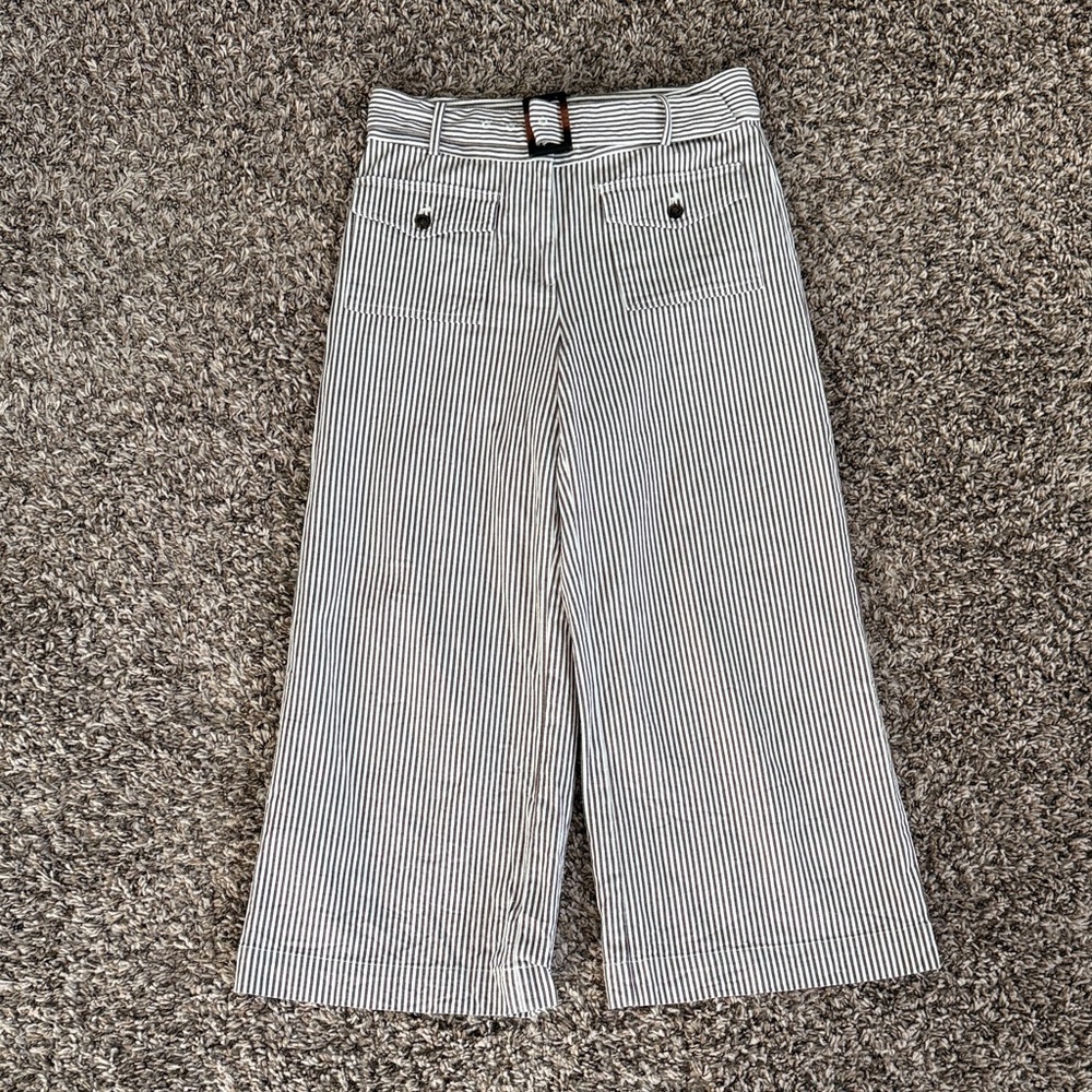 LOFT Brown and White Striped Pants